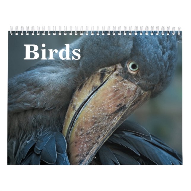 2027 Fåglar Kalender (Omslag)