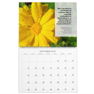 2027 Feldy-kalender: ett år i blom Kalender