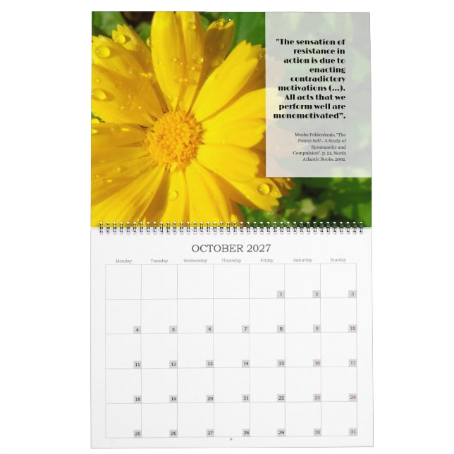 2027 Feldy-kalender: ett år i blom Kalender (Oct 2027)