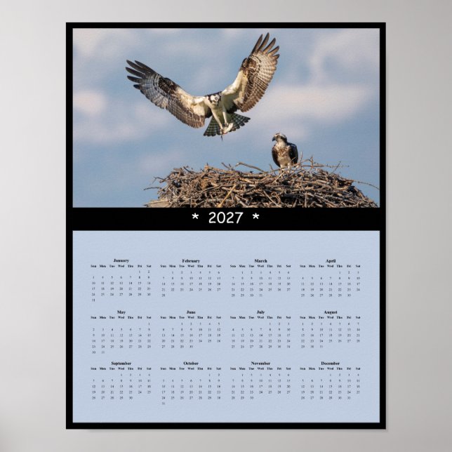 2027 Fiskgjuse Väggkalender - Majestätiska Rovfågl Poster (Framsidan)