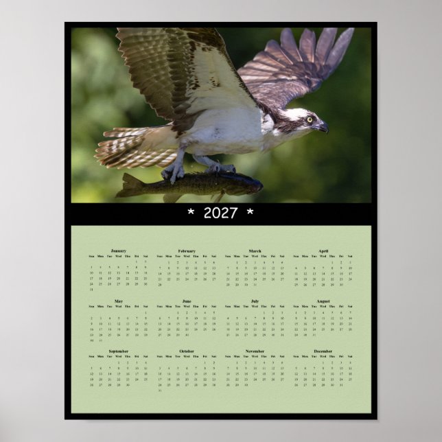 2027 Fiskgjuse Väggkalender - Soaring Wildlife Poster (Framsidan)