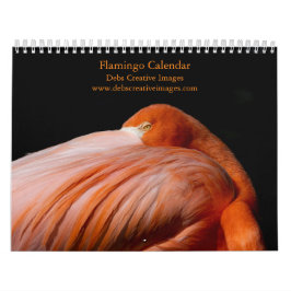 2027 Flamingos i Florida Kalender