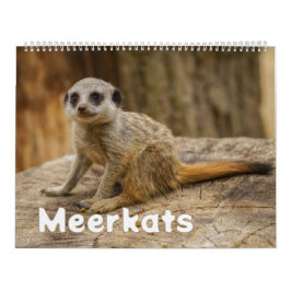 2027 Forever Surikater Glädje Kalender