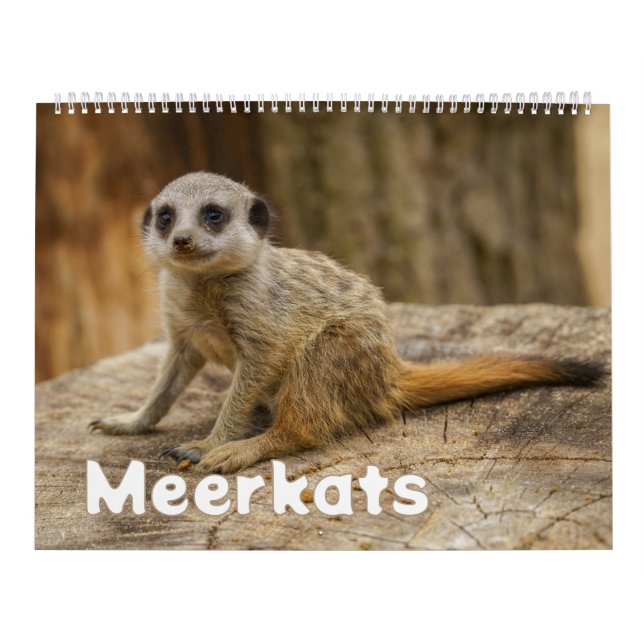 2027 Forever Surikater Glädje Kalender (Omslag)