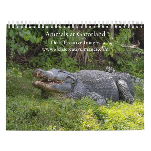 2027 Gatorland Wildlife Äventyr Kalender (Omslag)