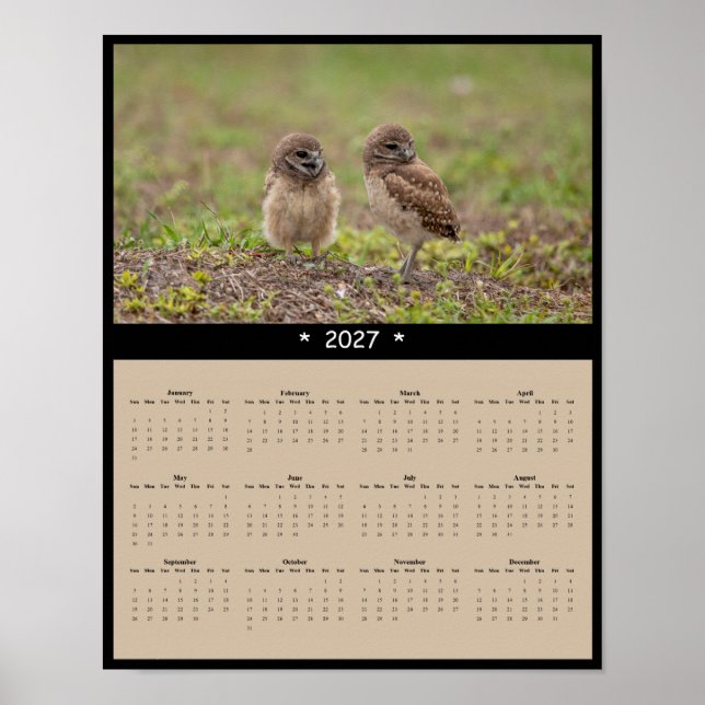 2027 Grävande Ugglor Väggkalender - Ugglefamilj Poster (Framsidan)