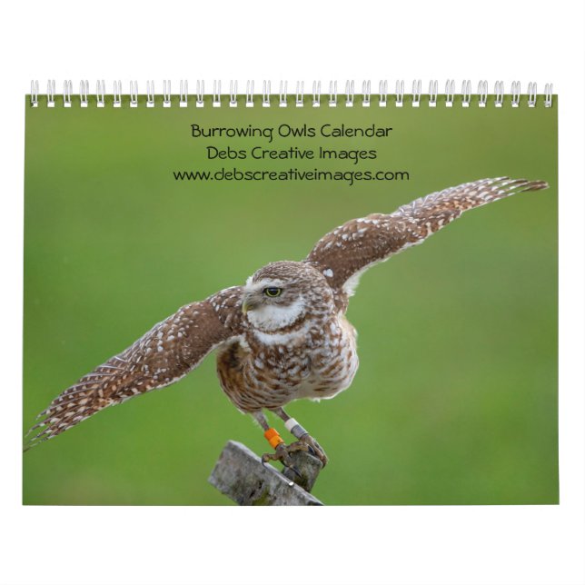 2027 Grävuggla | Florida Wildlife Photography Kalender (Omslag)