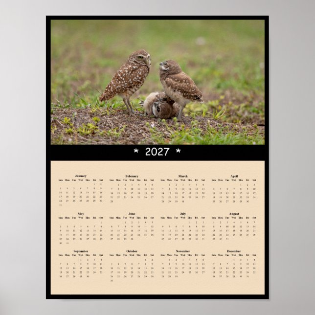 2027 Grävuggla Väggkalender - Oförvägen Ande Poster (Framsidan)