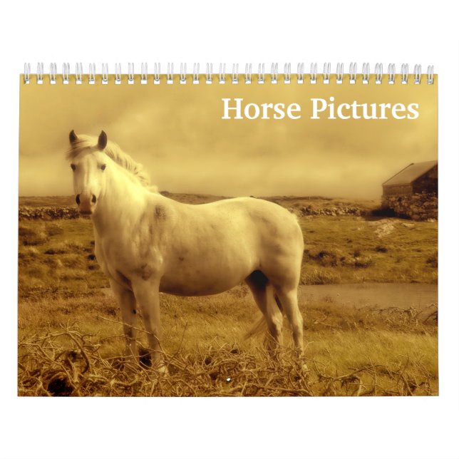2027 Häst Bilder Bilder  Kalender (Omslag)