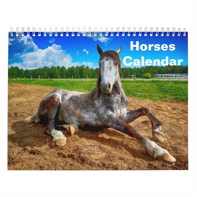 2027 Häst Kalender (Omslag)