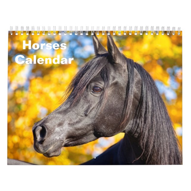 2027 Häst Kalender (Omslag)