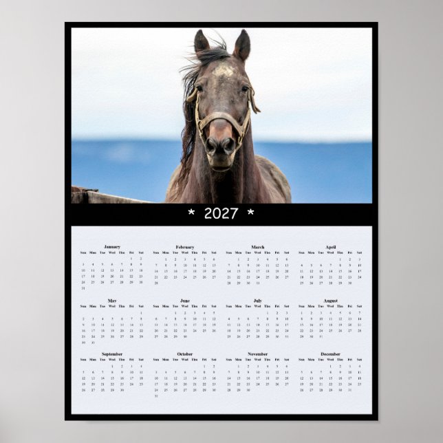 2027 Häst Väggkalender - Majestätisk Häst Poster (Framsidan)