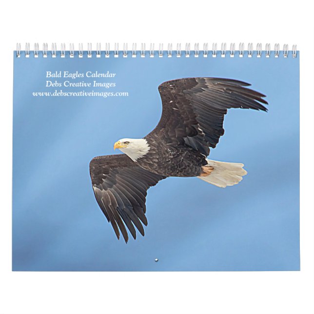 2027 Havsörnar | Vildlifefotografering Kalender (Omslag)