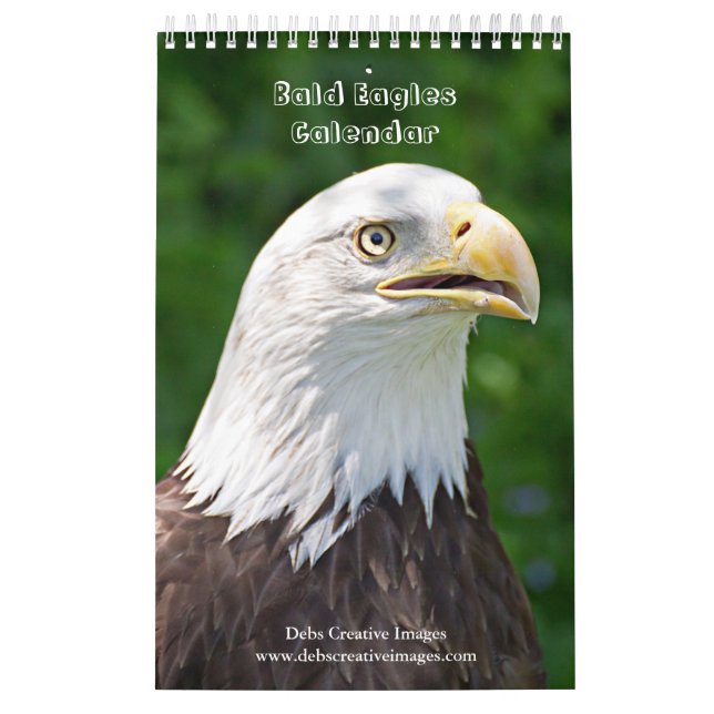 2027 Havsörnar | Vildlivsfotografering Kalender (Omslag)
