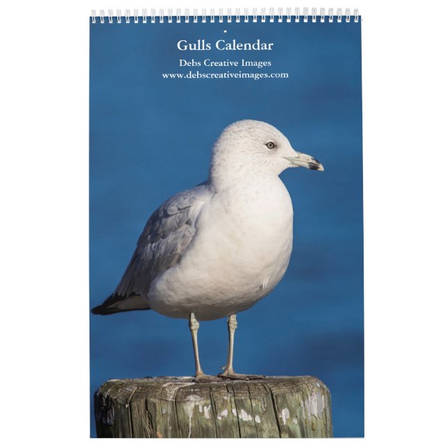 2027 Hudson River Gulls | Vildlifefotografering Kalender (Omslag)