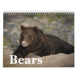 2027 Ikonisk Grizzlybjörn Foto Kalender
