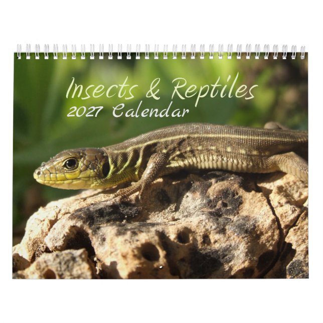 2027 Insekter & Reptiler Kalender (Omslag)