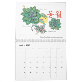 2027 Jeju-kalender Kalender