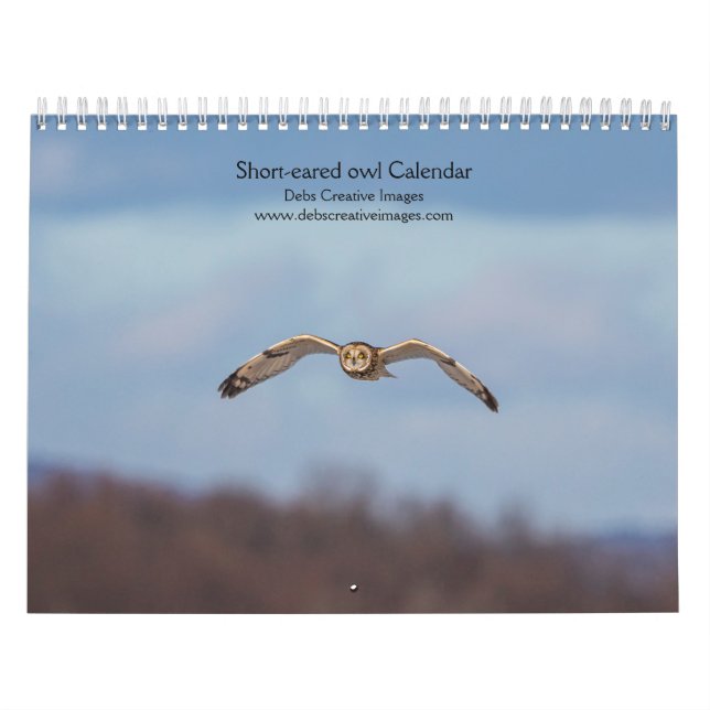 2027 Jorduggla | Gräsmarksuggla Fotografi Kalender (Omslag)