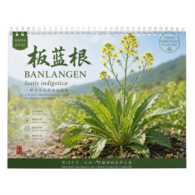 2027 Kalender Botanisk Samling (Omslag)
