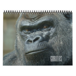 2027 Klassisk Ozala Oumbi Lope Shufai Gorilla Kalender