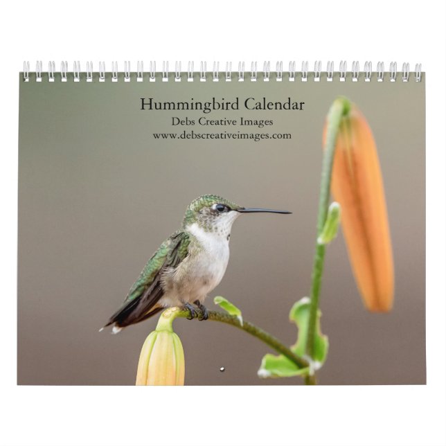 2027 Kolibrier | Små naturens juveler Kalender (Omslag)