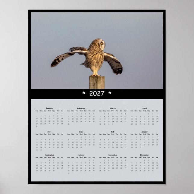 2027 Korthalsuggla Väggkalender - Tyst Flykt Poster (Framsidan)