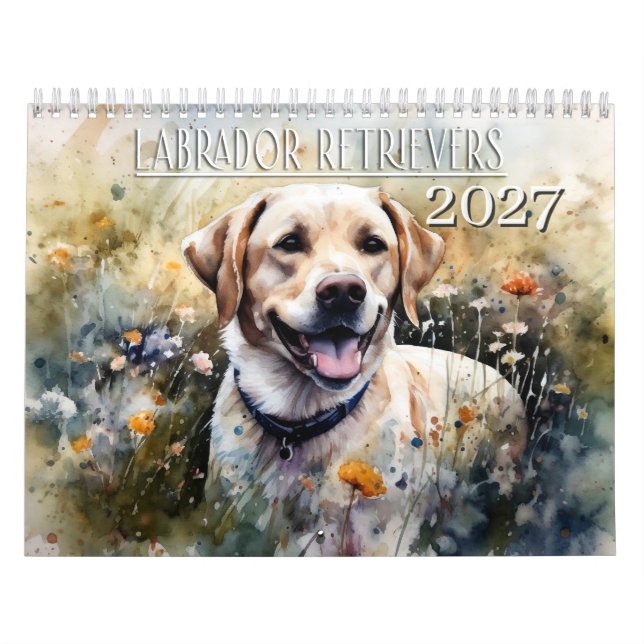2027 Labrador Retriever Kalender (Omslag)