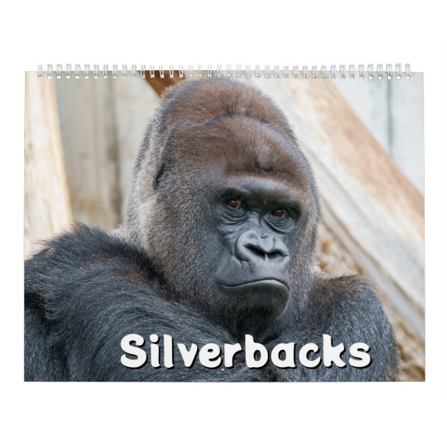 2027 Legendarisk Silverback Gorilla Fotografering Kalender (Omslag)