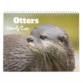 2027 Lekfulla Uttrar Foto Kalender