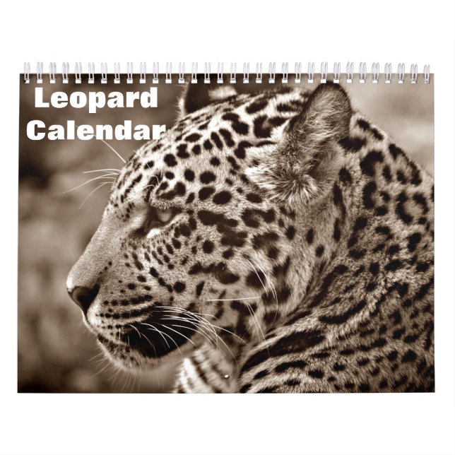 2027 Leopard Kalender (Omslag)