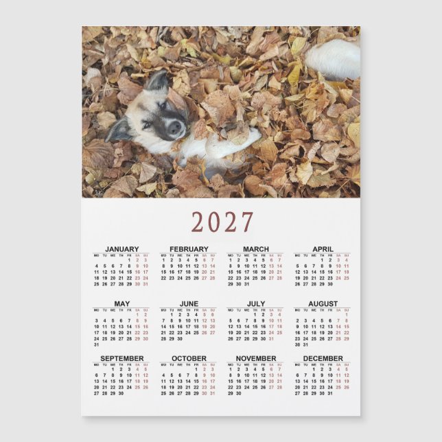 2027 magnetisk kalender med Dina djur (Framsida)