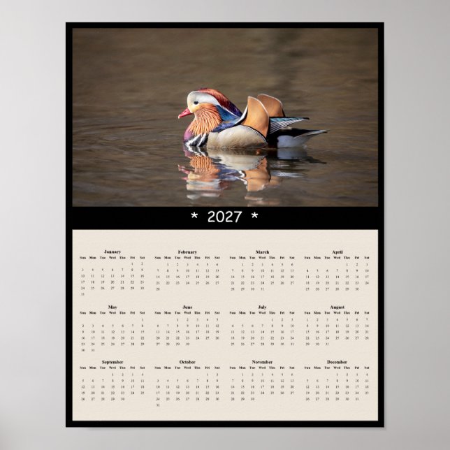 2027 Mandarin Duck Väggkalender - Vilda Djur Poster (Framsidan)