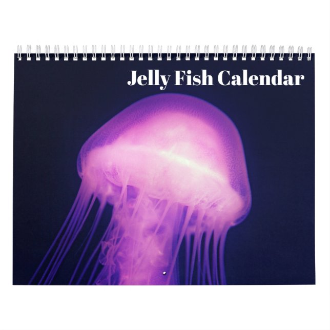 2027 Maneter Kalender (Omslag)