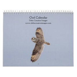 2027 Mysterious Ugglor | Nattlevande Vilda Djur Kalender