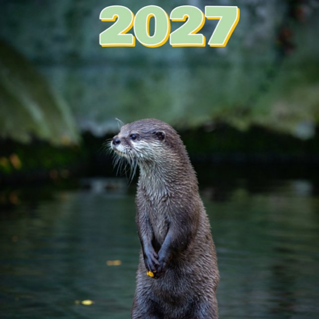 2027 Natur & Årstider Foto Kalender  ("2027 Scenic Calendar")