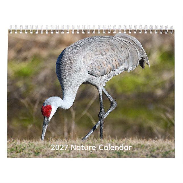 2027 Naturkalender Kalender (Omslag)