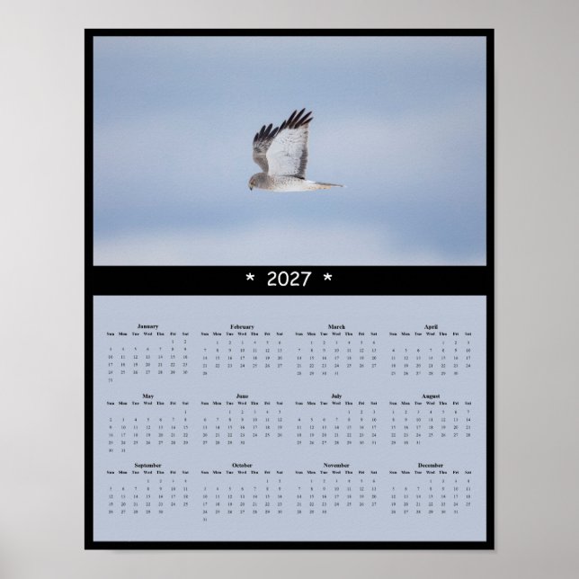 2027 Northern Harrier Väggkalender Tyst Cruiser Poster (Framsidan)