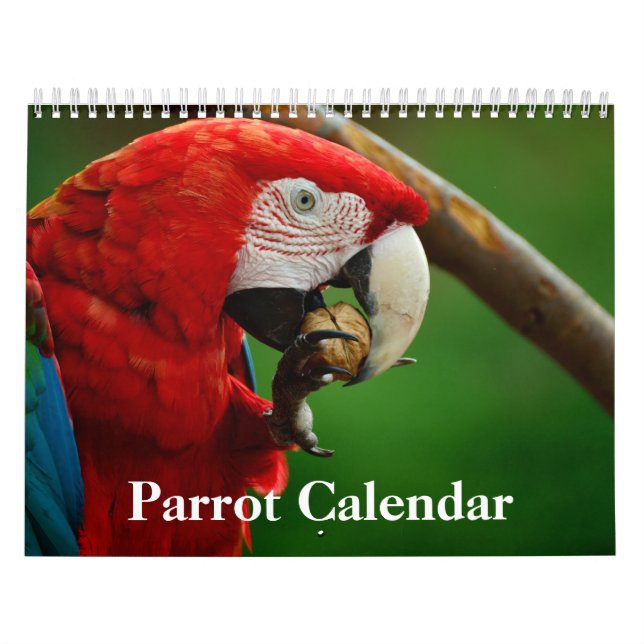 2027 Papegojkalender Kalender (Omslag)