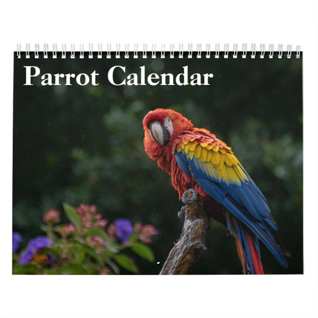 2027 Papegojkalender  Kalender (Omslag)
