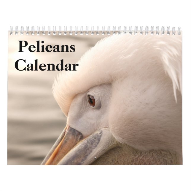 2027 Pelikaner Fågelkalender Kalender (Omslag)