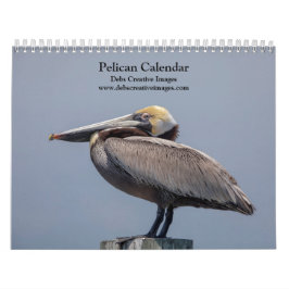 2027 Pelikaner i Florida | Kustlevande vilda djur Kalender