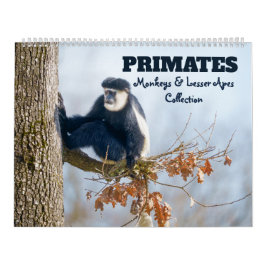2027 Premier apor & lägre primater Kalender