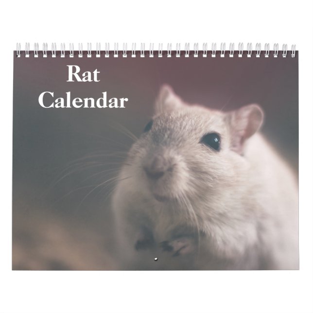 2027 Råtta Kalender (Omslag)