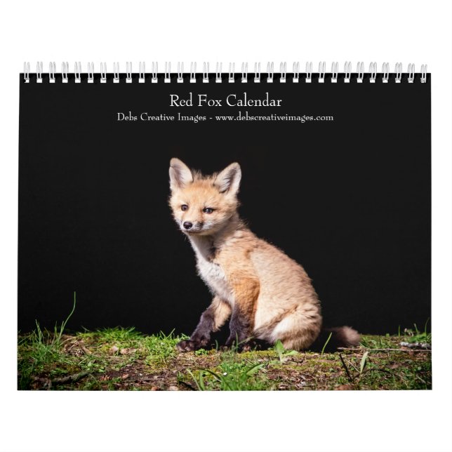 2027 Rödrävar | Skogsvildlivsfotografering Kalender (Omslag)