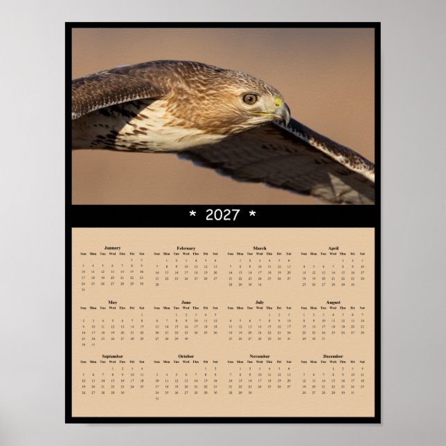 2027 Rödstjärtad Vråk Väggkalender - Rovfågel Poster (Framsidan)