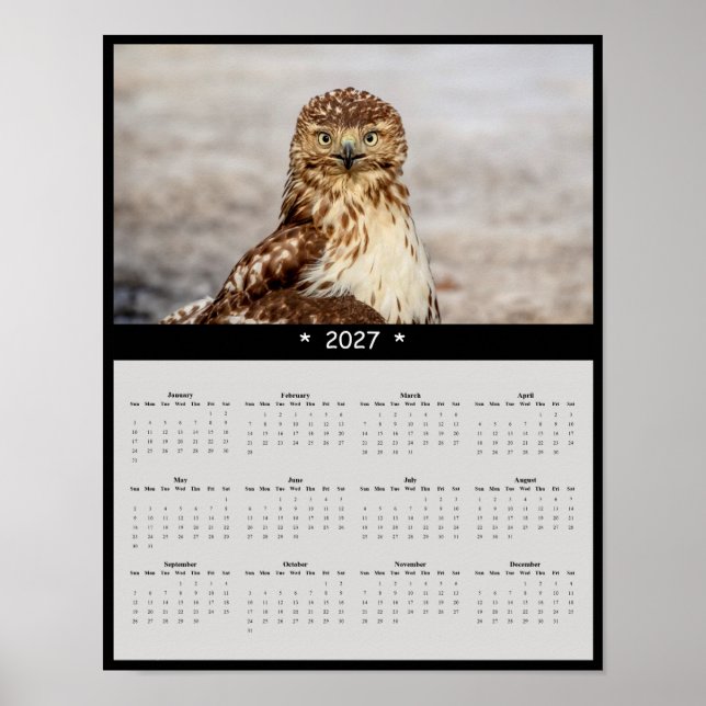 2027 Rödstjärtad Vråk Väggkalender - Stora Ögon Poster (Framsidan)
