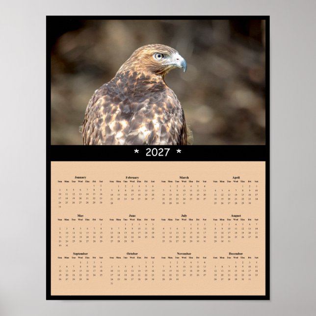 2027 Rödstjärtad Vråk Väggkalender - Wild Horizons Poster (Framsidan)