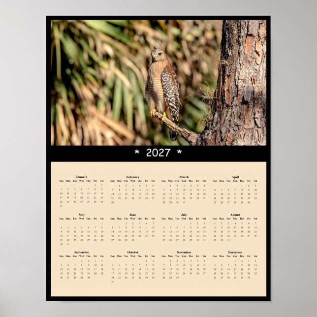 2027 Rödvingad hök Väggkalender - Skog Poster (Framsidan)