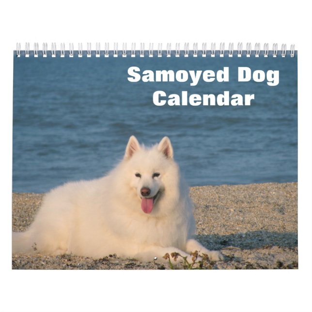 2027 Samoyed Hund Kalender (Omslag)